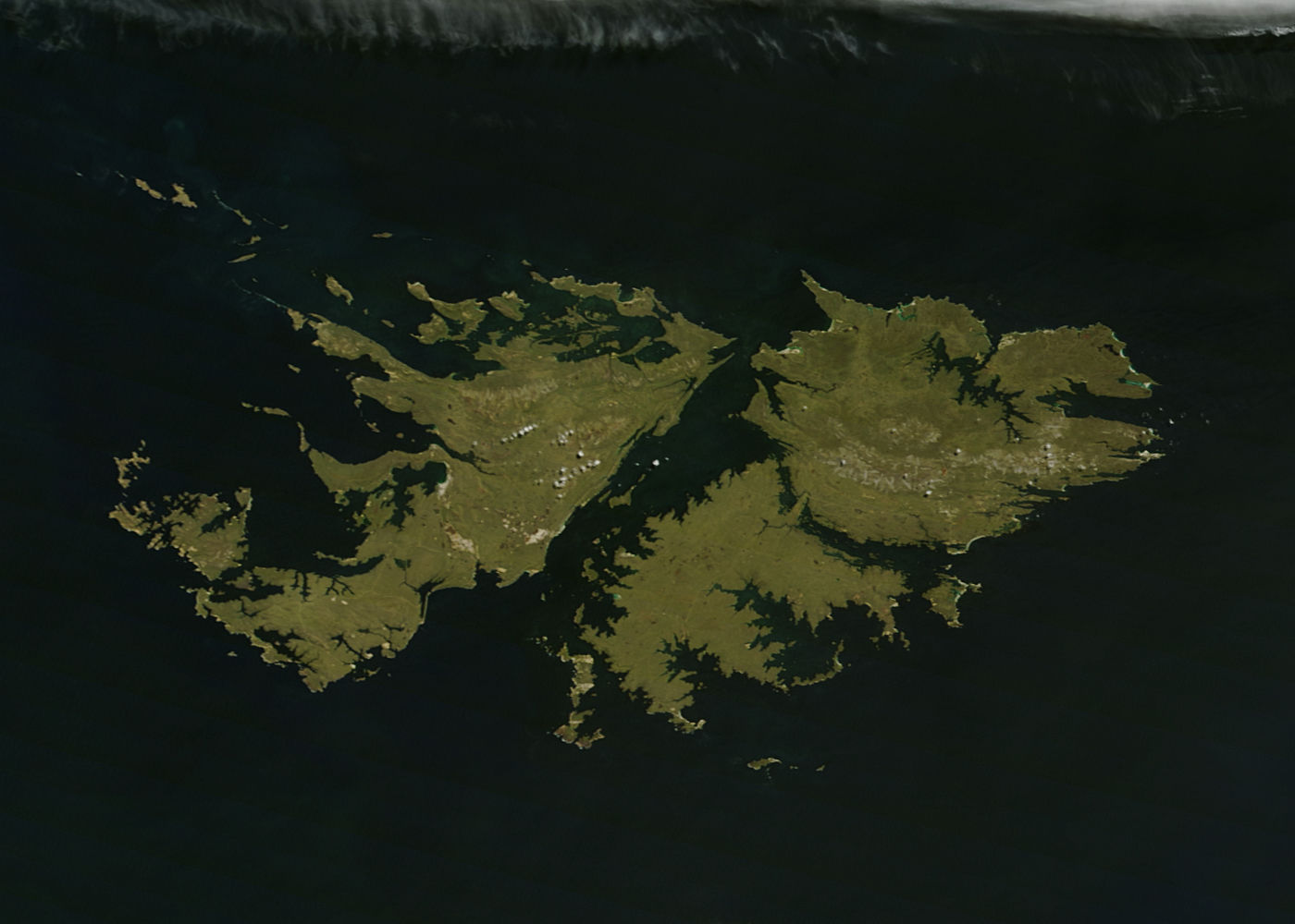 malvinas